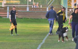Divák strčil do pomezního a připravil domácí tým o tři body. Doživotní zákaz vstupu, reaguje klub a omlouvá se za incident