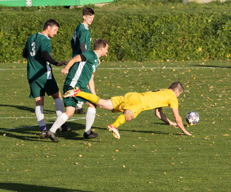 Autor fotografie: TJ Družstevník Bory