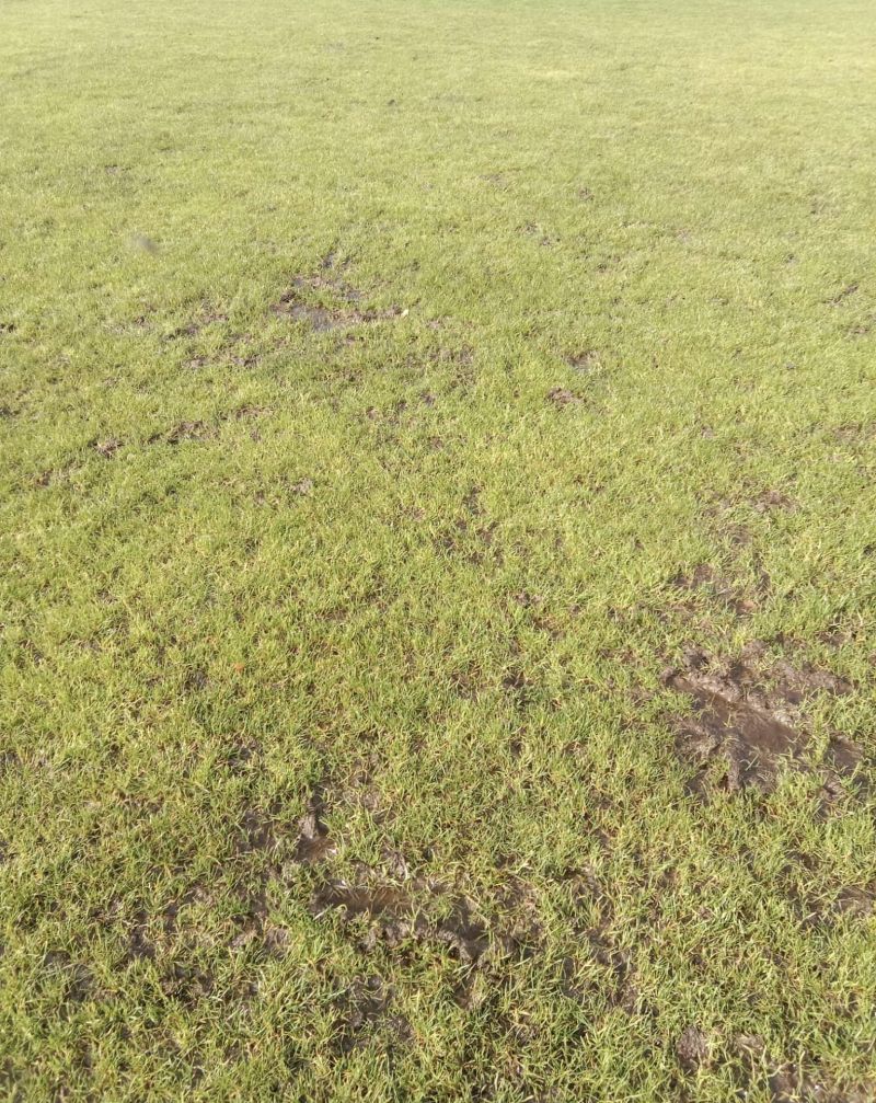 Týn nad Vltavou přesunul naopak utkání na hřiště do Temelína